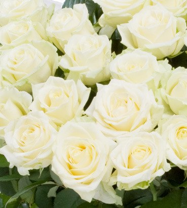 Марина Николаева | Липецк