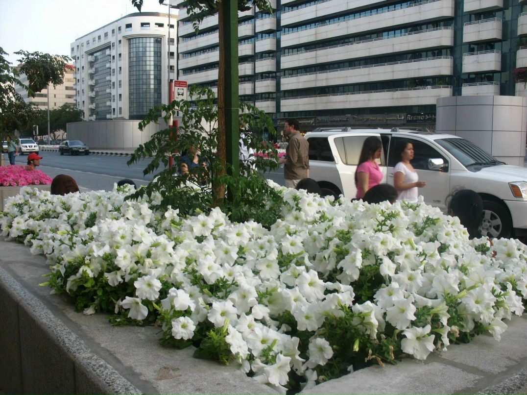 Болеслав Малиновский BolesLAB | Киев