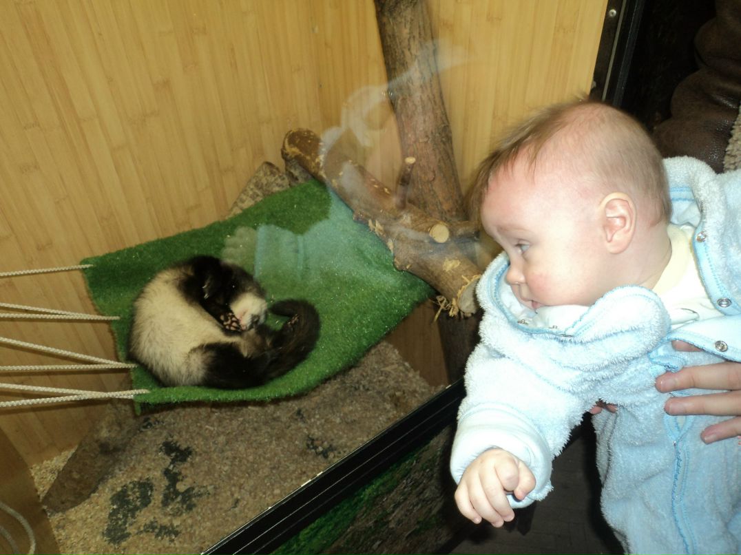 Вячеслав Трофимовский | Санкт-Петербург