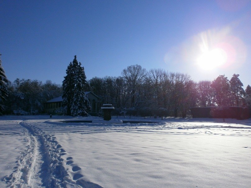 Оля Аксютина | Киев
