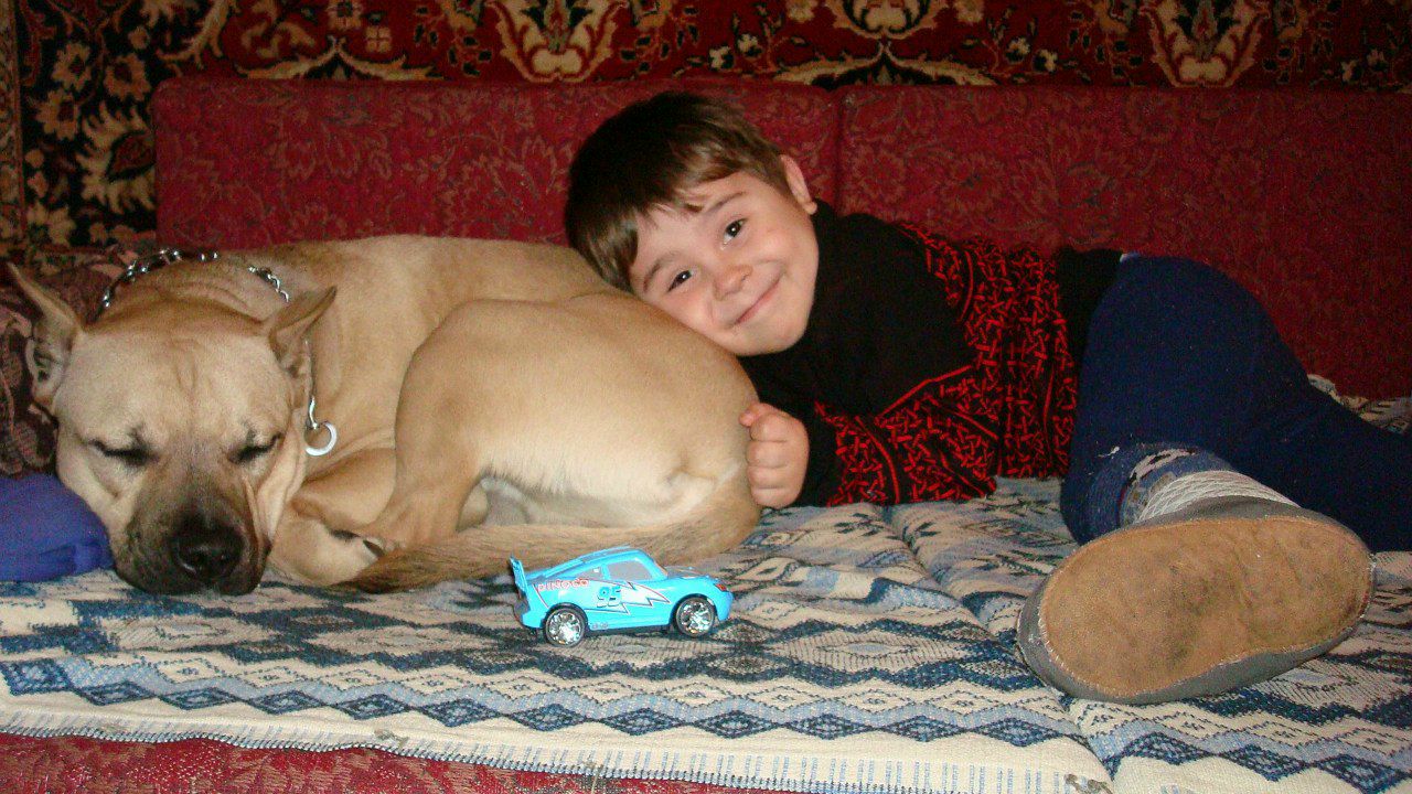 Вита Данилевская | Черкассы