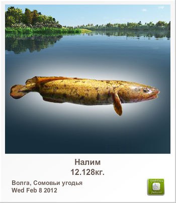 Павел Гридяков | Гродно