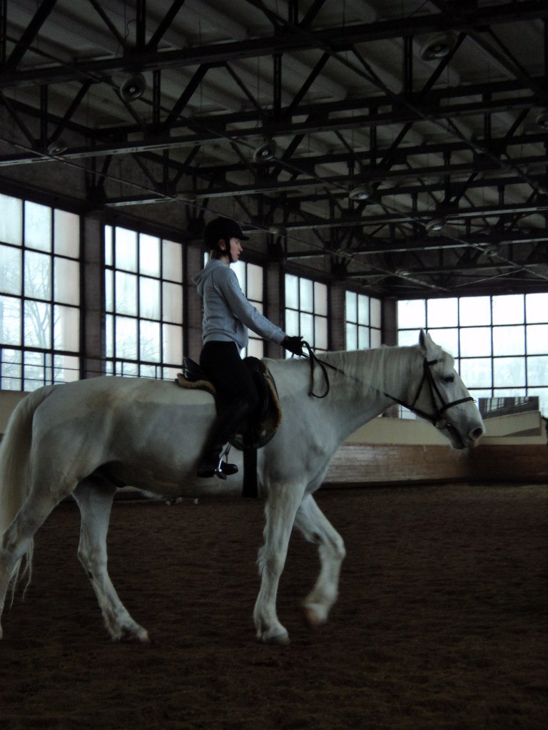 Екатерина Андреева 