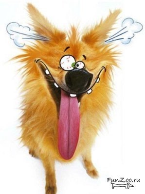 Виталий Шарко | Москва