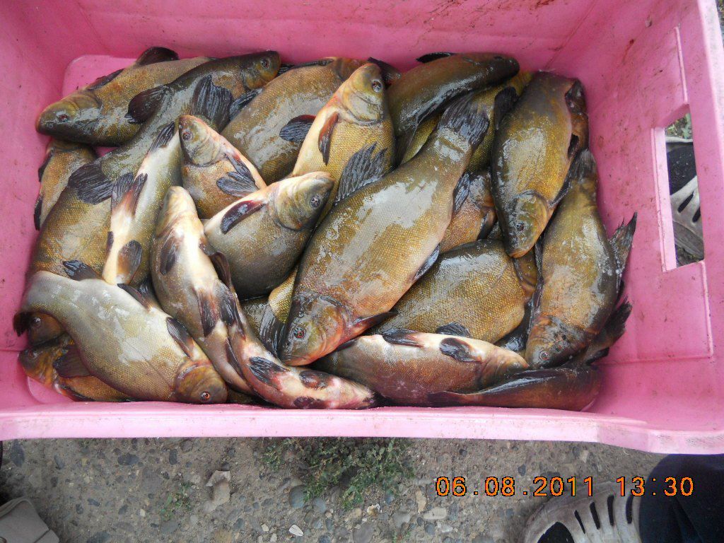 Валентина Стасюк | Красноярск