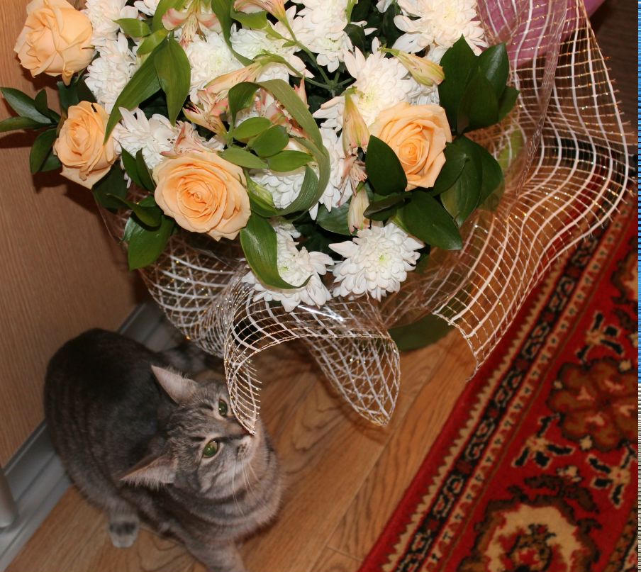 Марианна Зырянова | Екатеринбург