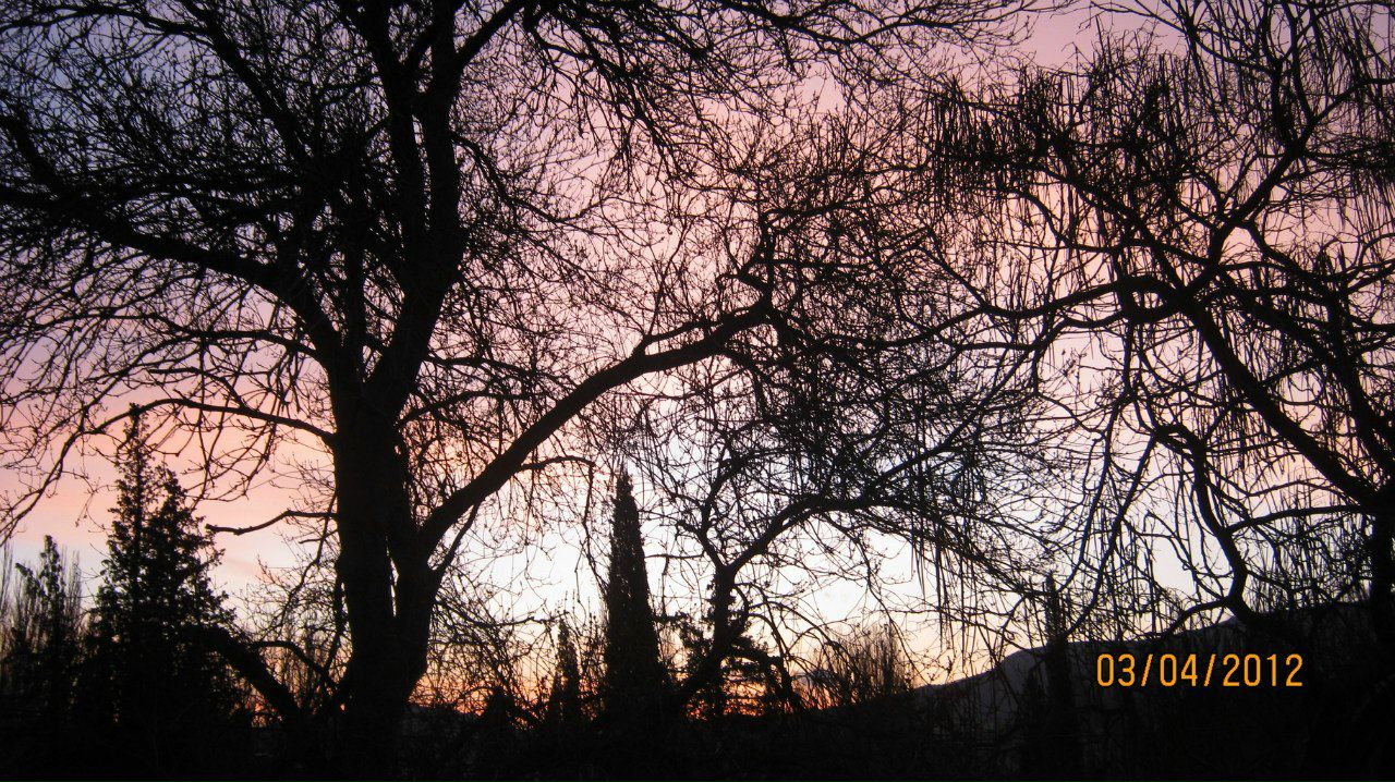 Елена Глушкова | 