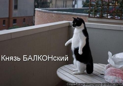 Алексей Нечипоренко | Полтава