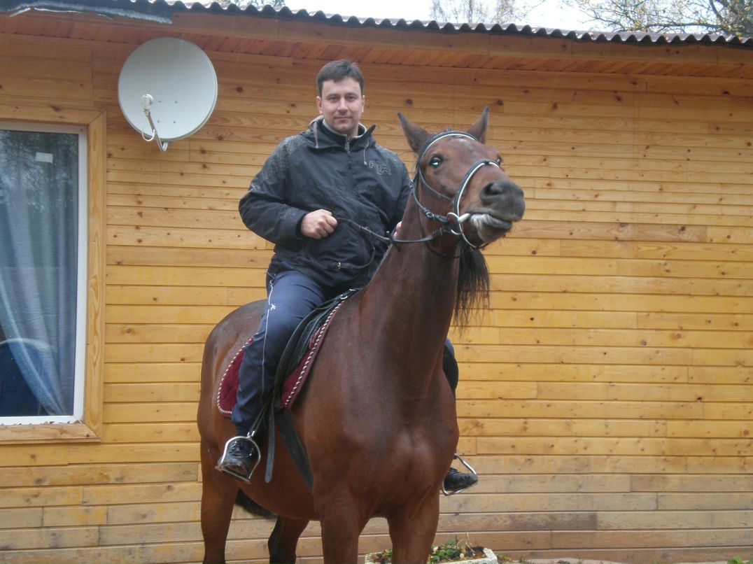 Алексей Колесник | Санкт-Петербург