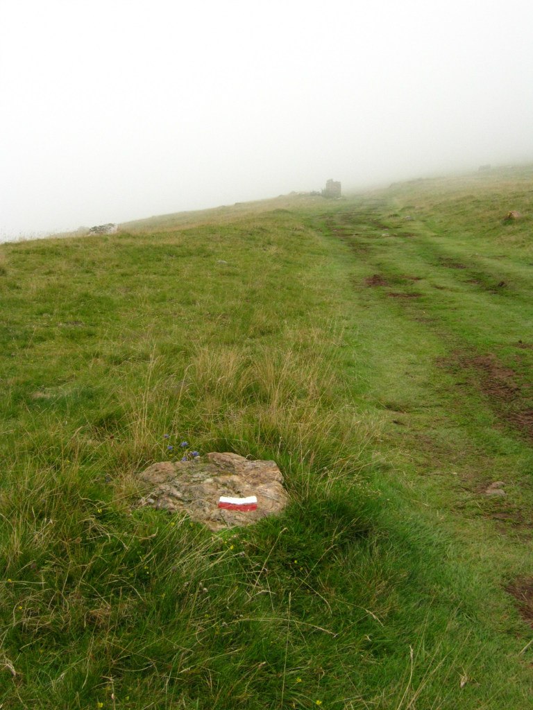 Светлана Иванова | Санкт-Петербург