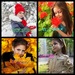 Наталья Королева фотография #17