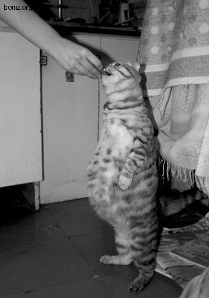 Александр Коваль | Черкассы