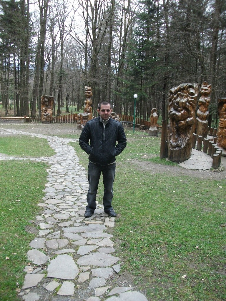 Віталік Шевців | Самбор