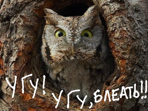 №49, Сергей Белов, 47 лет, Санкт-Петербург №49, Сергей Белов, 47 лет, Санкт-Петербург