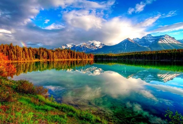 Гоша Александров | Тверь