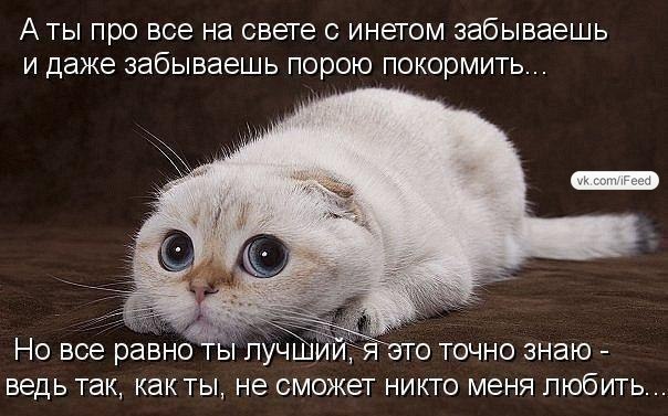 №72, Даниил Иглин, Ижевск №72, Даниил Иглин, Ижевск