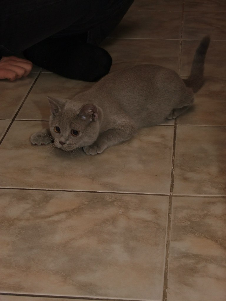 Вадим Барко | Киев