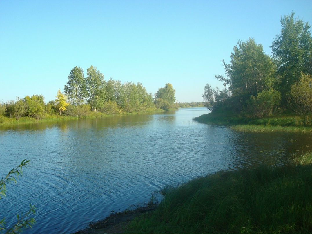 Андрей Некрасов | Новосибирск