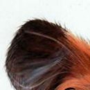 №79, Екатерина Волкова №79, Екатерина Волкова