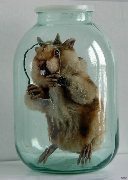 №20, Дарья Тюрина №20, Дарья Тюрина