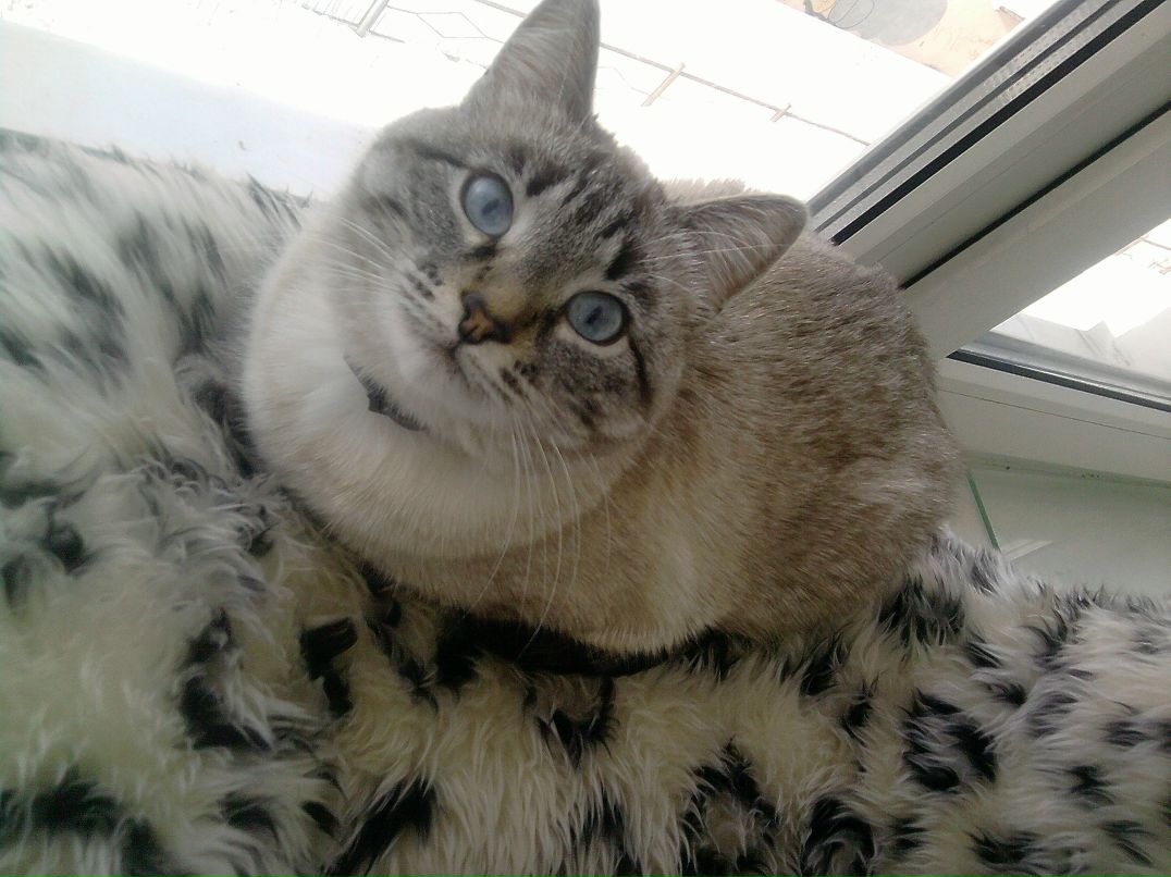 Елена Никитина | Уфа