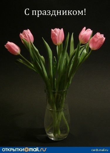 Валерий Чебан v8spb | Санкт-Петербург