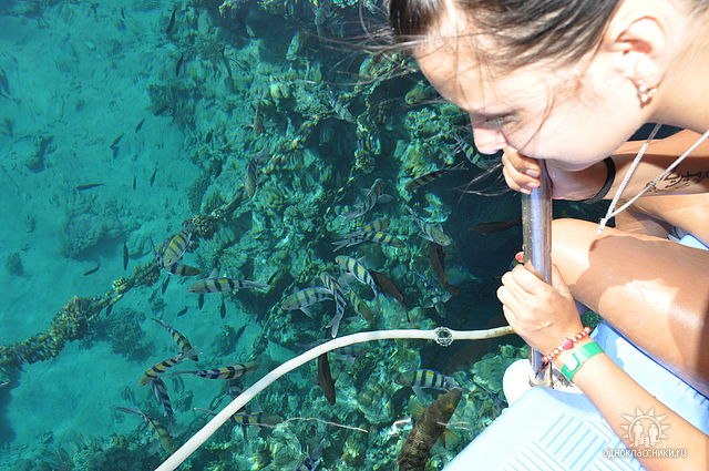 Мирьем Пигелева | Туапсе