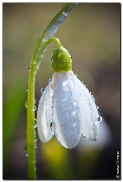 №12, Юлия Задубина №12, Юлия Задубина