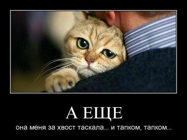 Михаил Пух | Санкт-Петербург