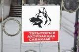 Юрий Салауров | Гатчина
