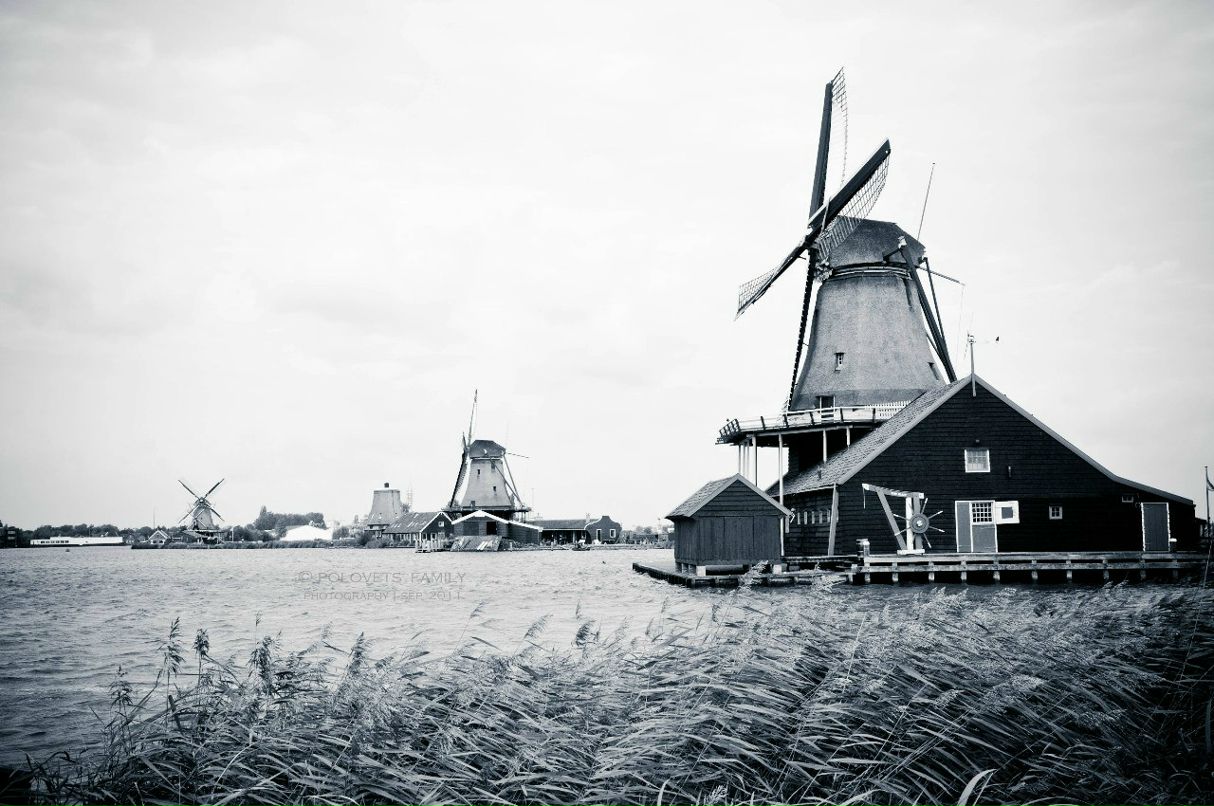 Полина Половец | 