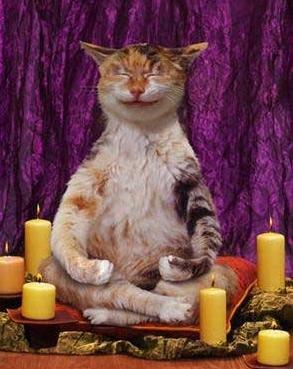 Алексей Мансветов | Санкт-Петербург