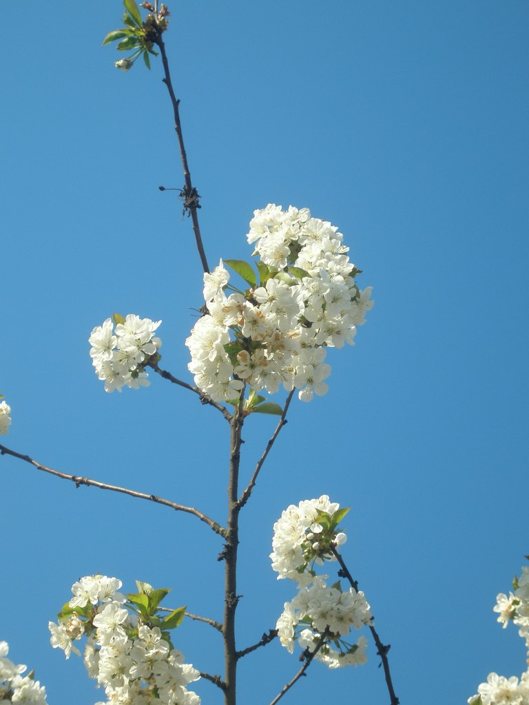 Олена Кругла | Одесса