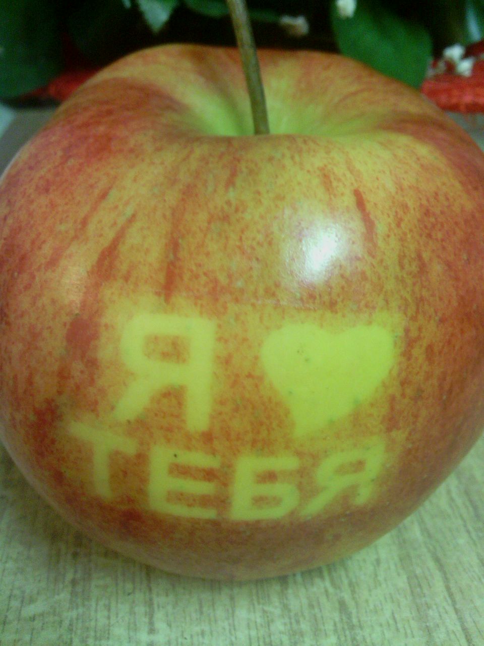 Тамара Люосева | Дубна