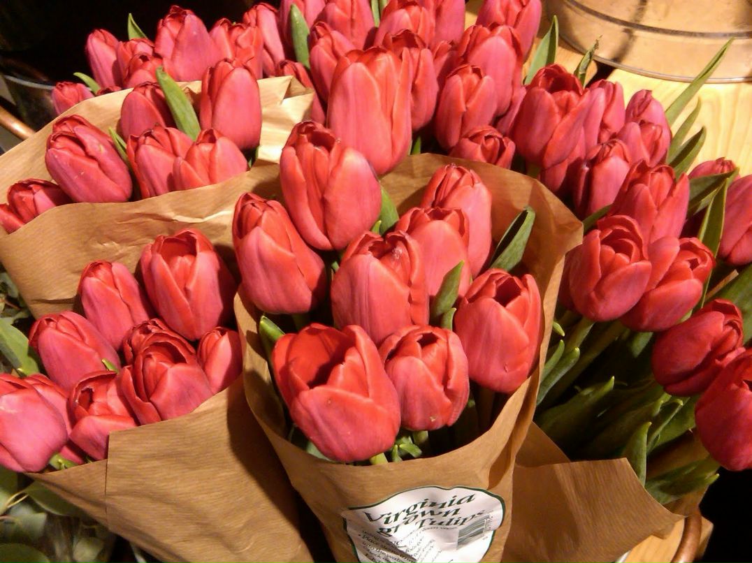 Sveta Kozachuk | Warszawa