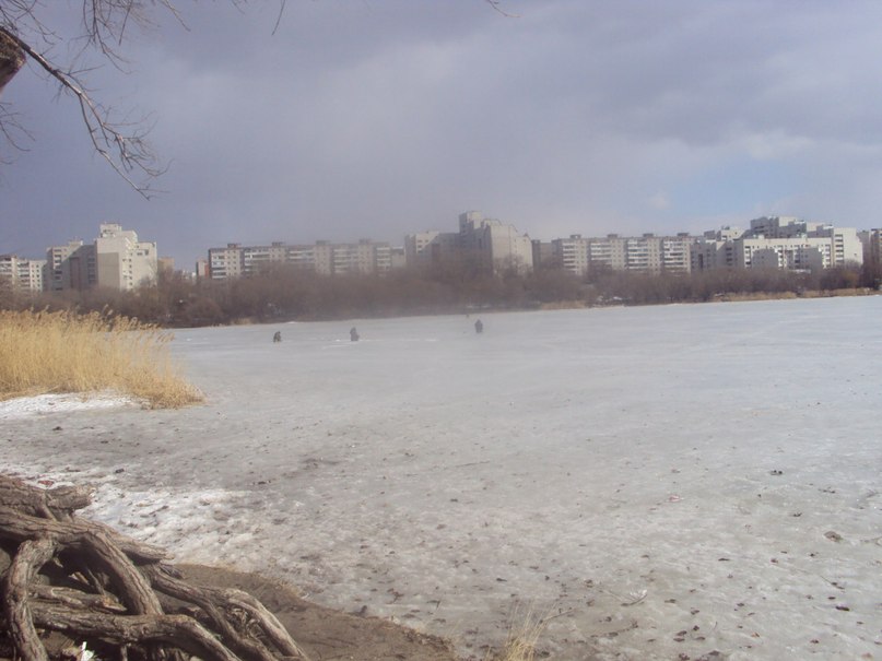 Михаил Писклюков | Воронеж