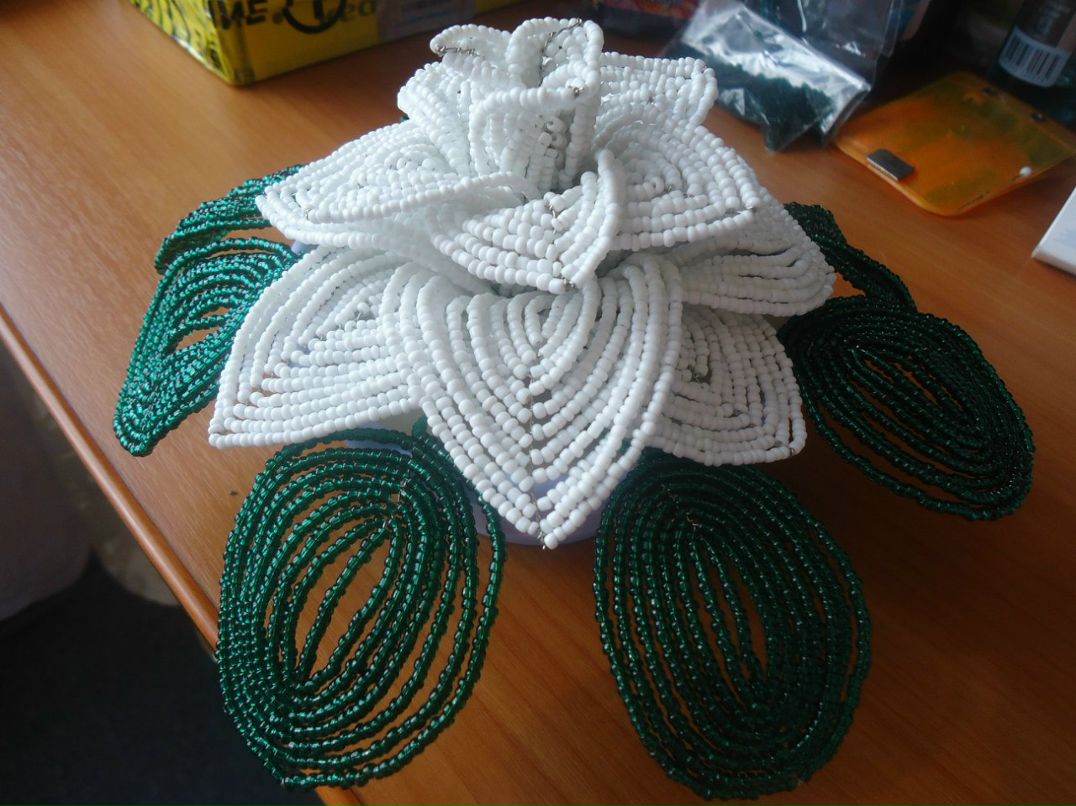 Елена Якушева | 