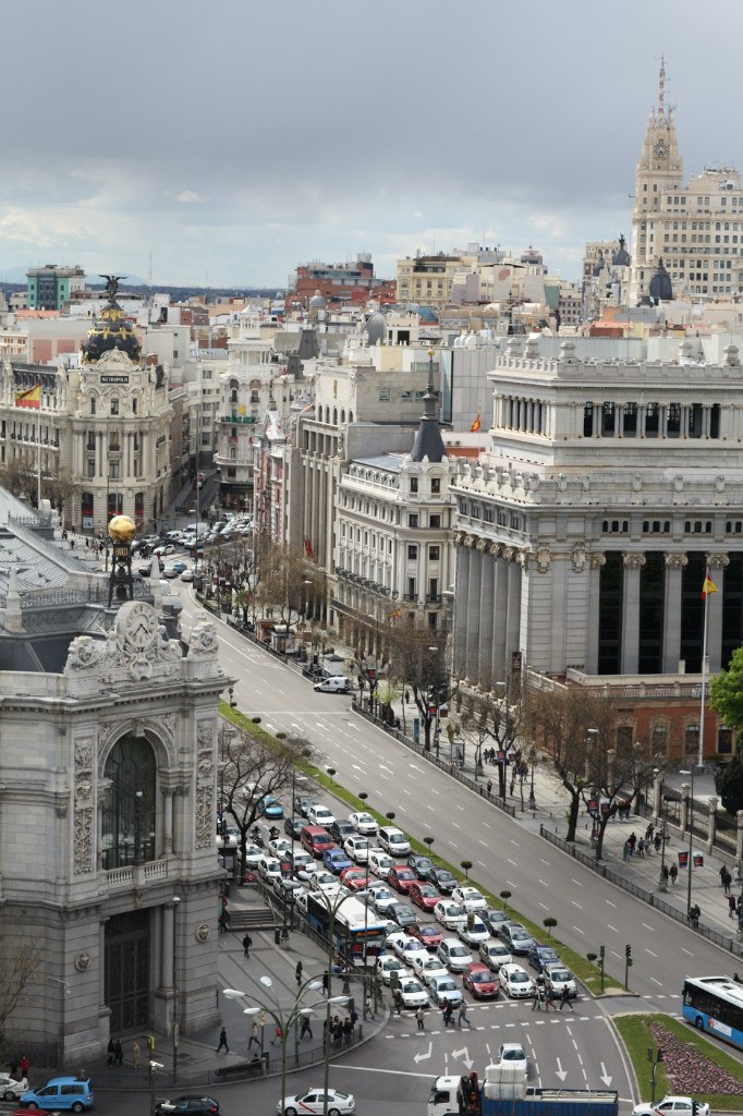 Антон Волков | Хрящи