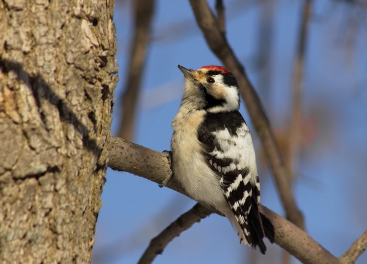 Юлия Илясова | Воскресенск