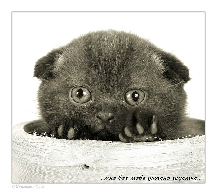 Арина Заднепровская | Тимашевск