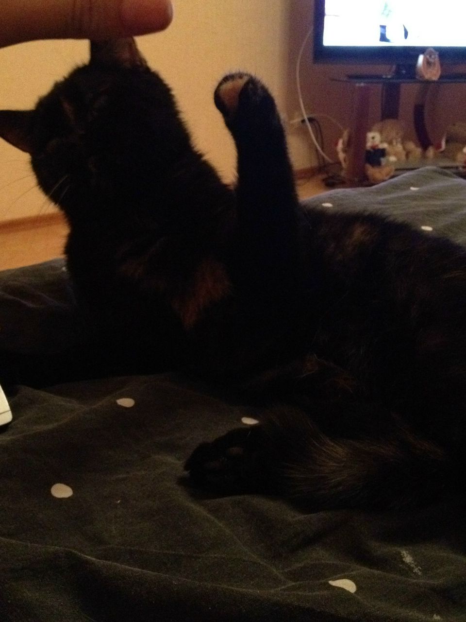 Мила Гареева | Уфа