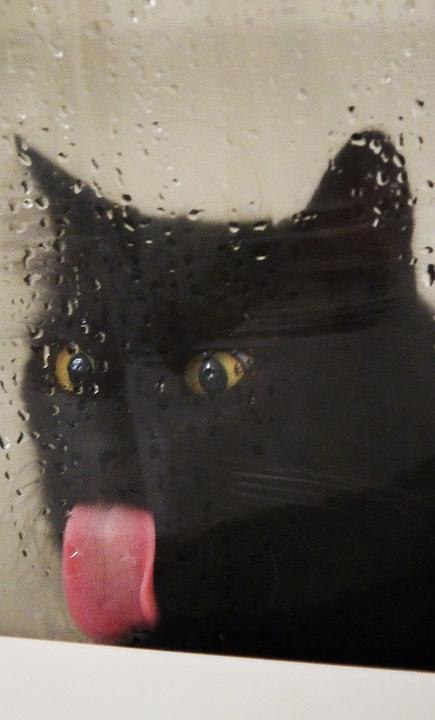 Павел Насенков | Ейск