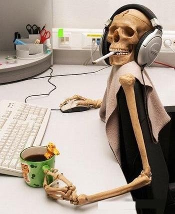 Max Morison | Chicago