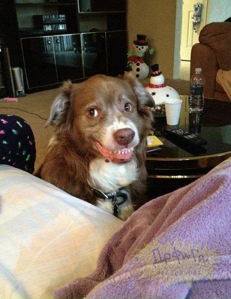 №1, Олексій Котов, Черкассы №1, Олексій Котов, Черкассы