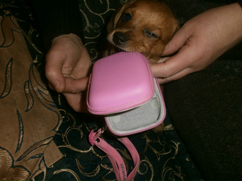 Анастасия Лисенкова | 