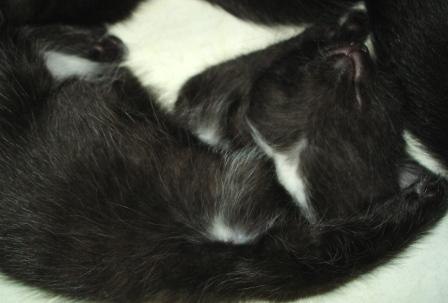 Эльвира Аскарова | Казань