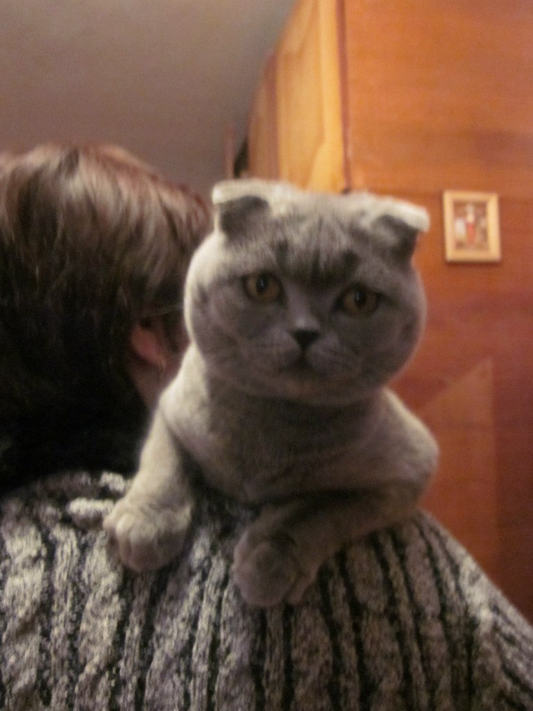 Анна Горденко (Данилова) | Орелька