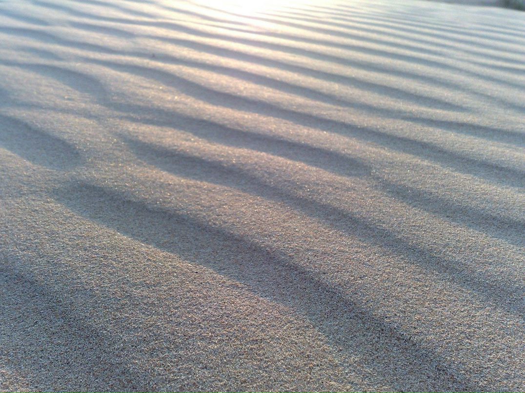 Зарина Желяскова | Киев