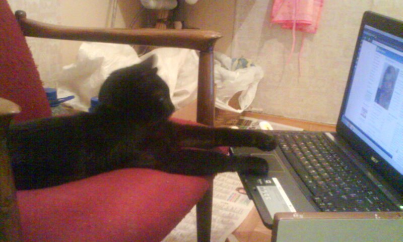 Катерина Боденко | Минск