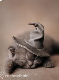 Алексей Бычков | Санкт-Петербург